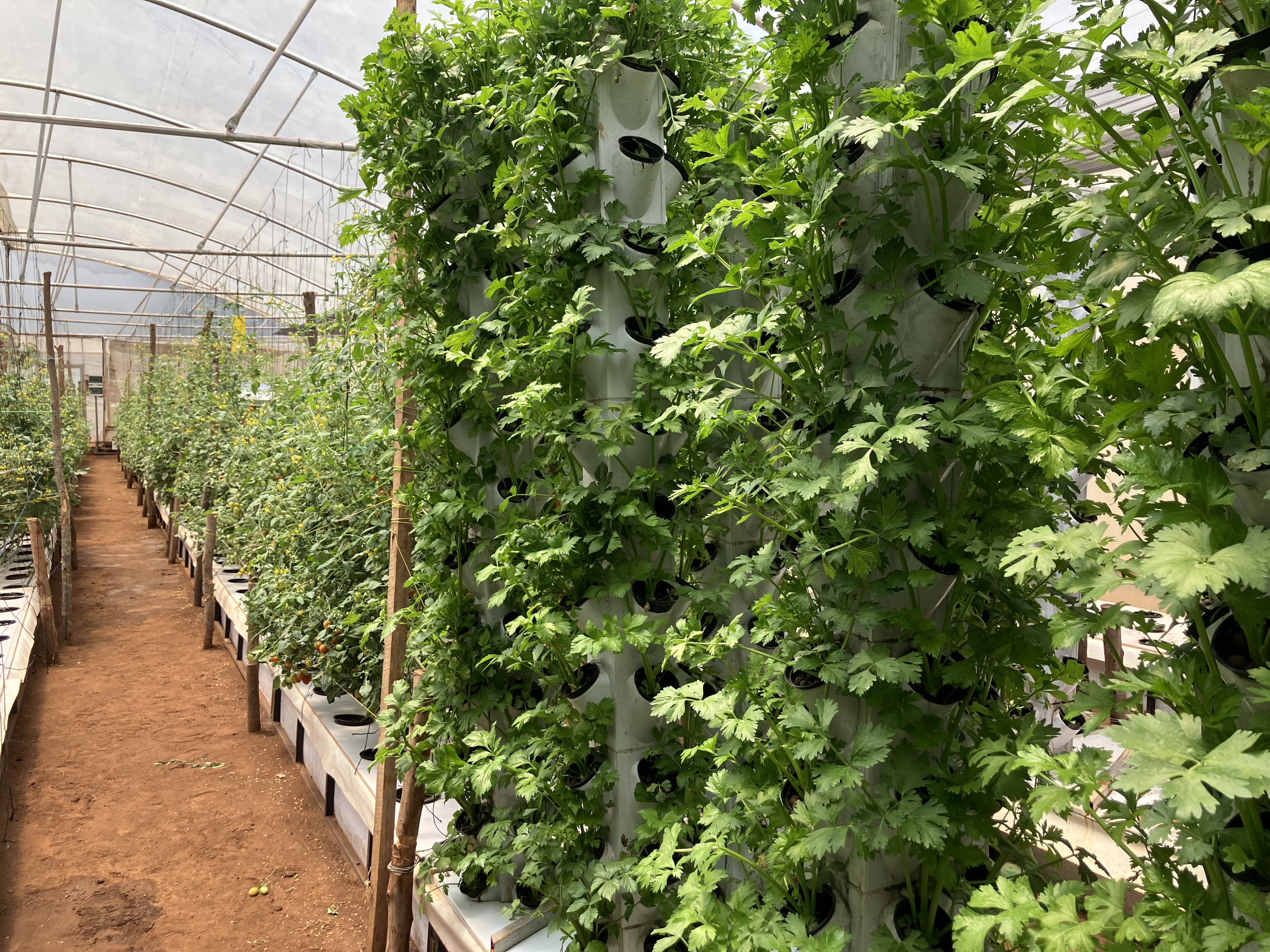 Biodiverse Landscapes