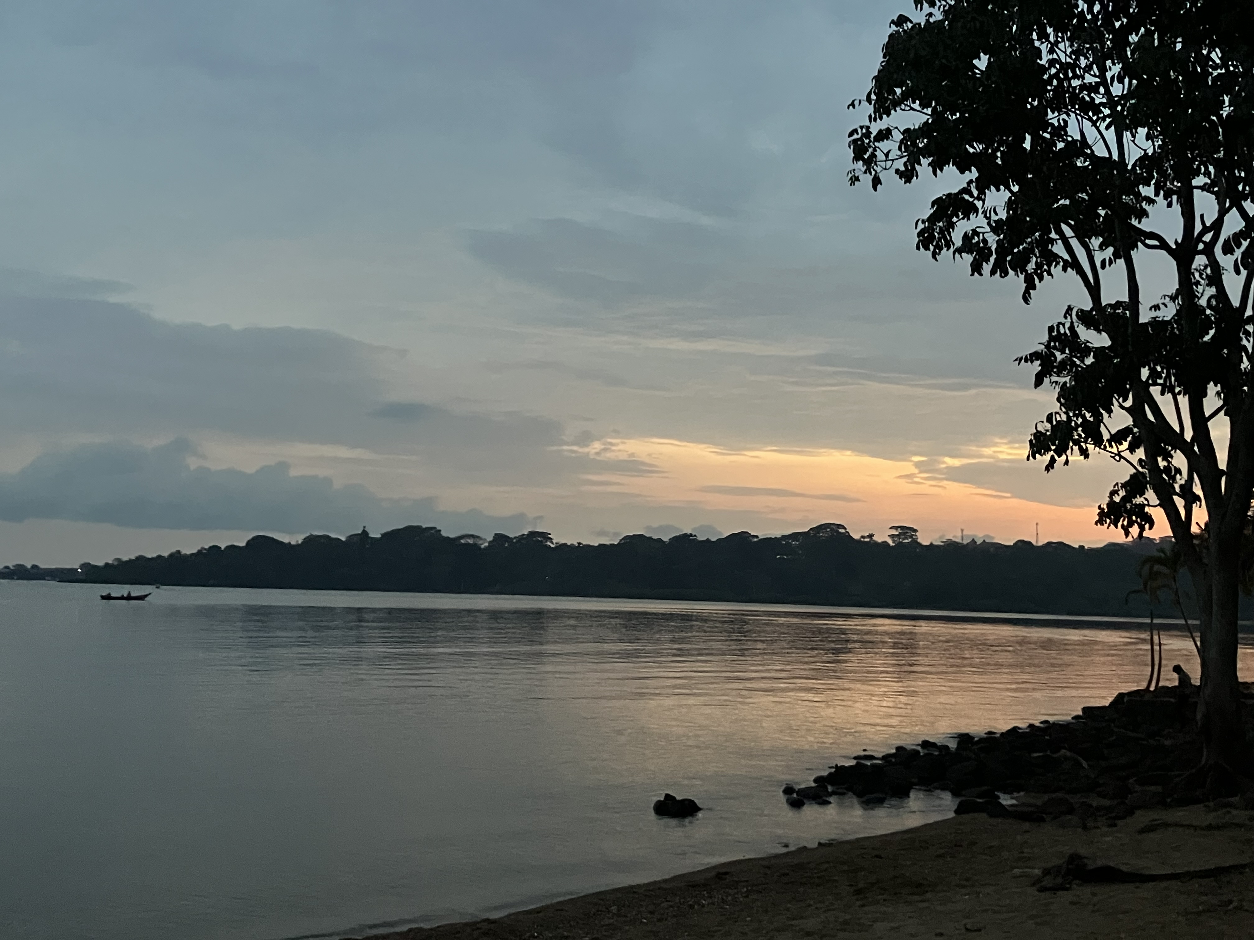 Sustainable Soil Management